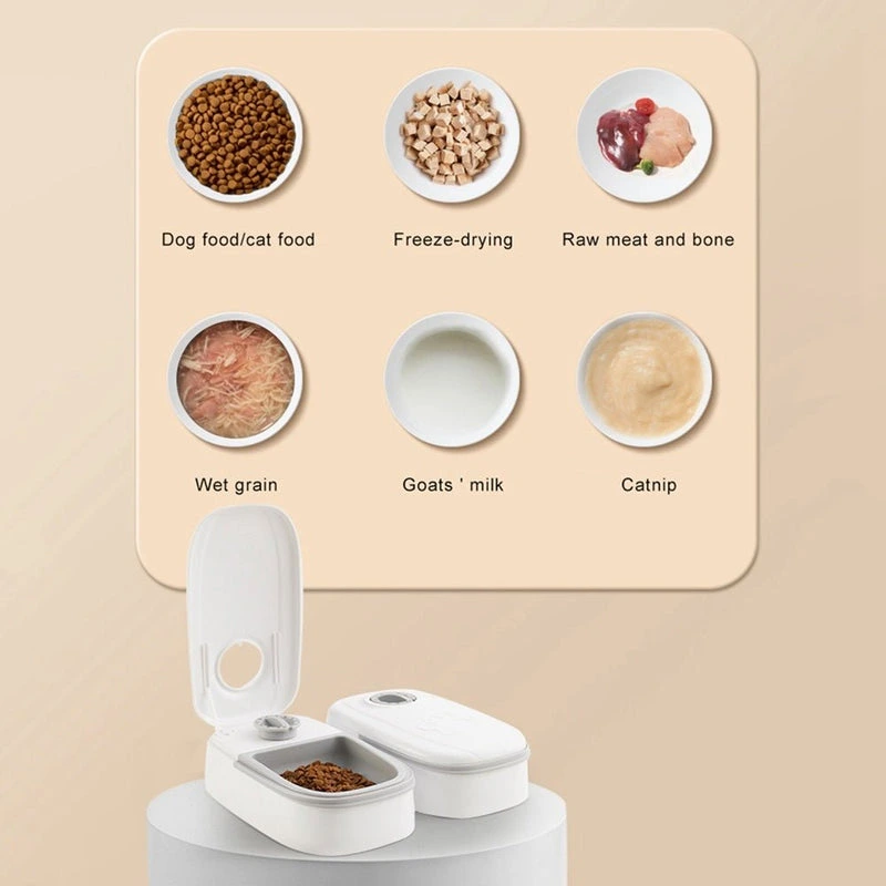 affordable timed dog food dispenser buy aed