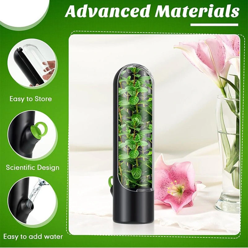 top rated herb preserver container uae delivery