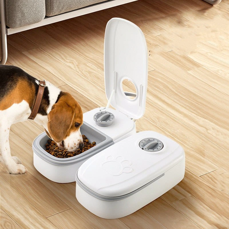 top rated smart cat feeder uae delivery